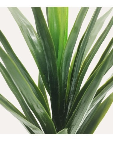 Planta Yuca Decorativa para Exterior con Aspecto Realista