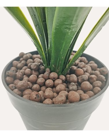 Planta Yuca Decorativa para Exterior con Aspecto Realista