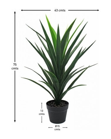 Planta Yuca Decorativa para Exterior con Aspecto Realista