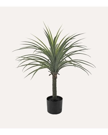 Planta Yuca Decorativa con Aspecto Realista