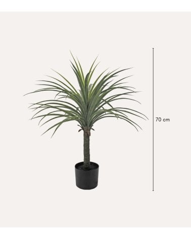 Planta Yuca Decorativa con Aspecto Realista