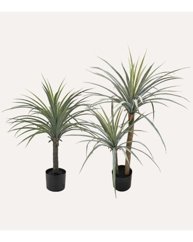 Planta Yuca Decorativa con Aspecto Realista