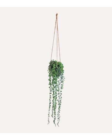Planta Rosario Colgante Decorativa con Aspecto Realista