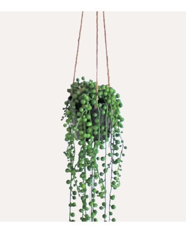 Planta Rosario Colgante Decorativa con Aspecto Realista