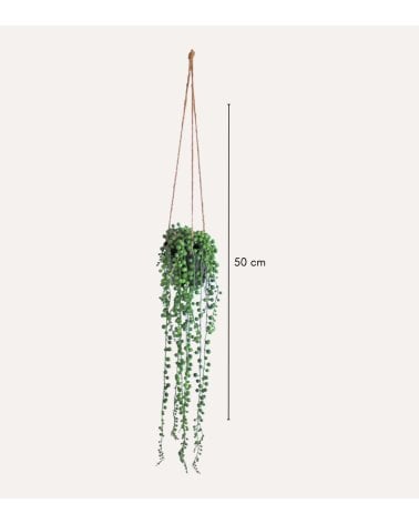 Planta Rosario Colgante Decorativa con Aspecto Realista