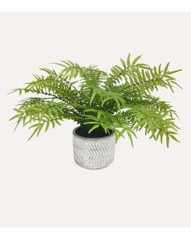 Helecho Decorativa con Aspecto Realista