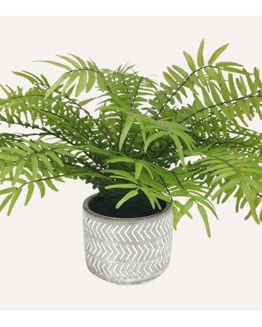 Helecho Decorativa con Aspecto Realista