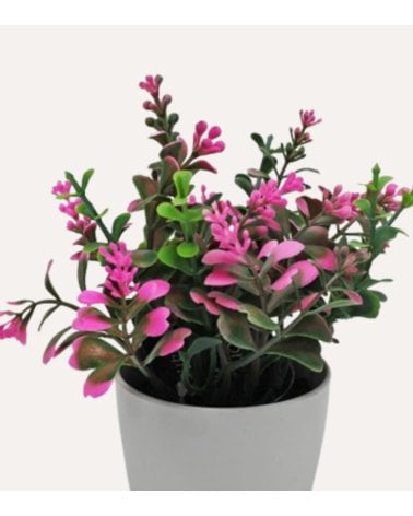 Eucalipto Rosa Decorativo con Aspecto Realista