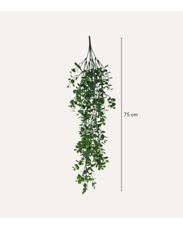 Eucalipto Colgante Decorativo para Exterior Aspecto Realista