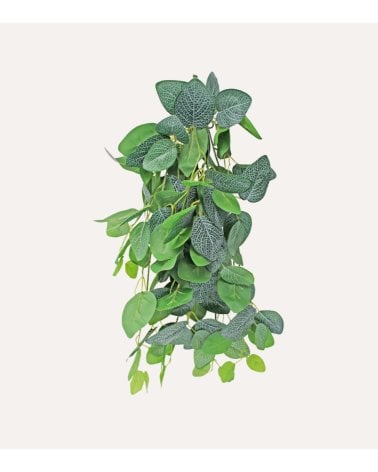 Fitonia Colgante Decorativo para Exterior Aspecto Realista