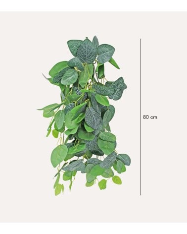 Fitonia Colgante Decorativo para Exterior Aspecto Realista
