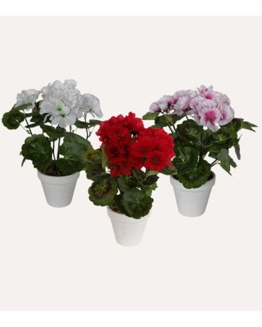 Geranium Decorativo con Aspecto Realista