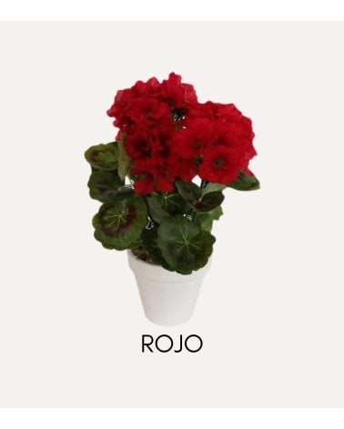 Geranium Decorativo con Aspecto Realista