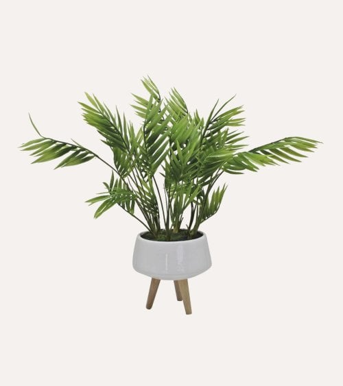 Helecho Decorativo en Maceta Alta con Aspecto Realista