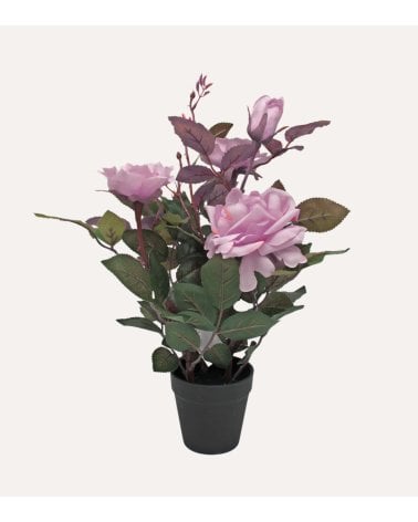 Rosal Decorativo con Aspecto Realista