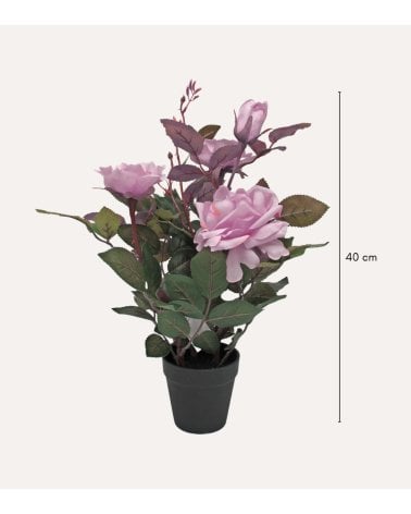 Rosal Decorativo con Aspecto Realista