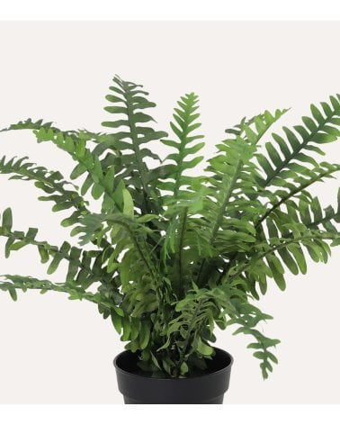 Helecho Frondoso Decorativo con Aspecto Realista