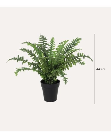 Helecho Frondoso Decorativo con Aspecto Realista