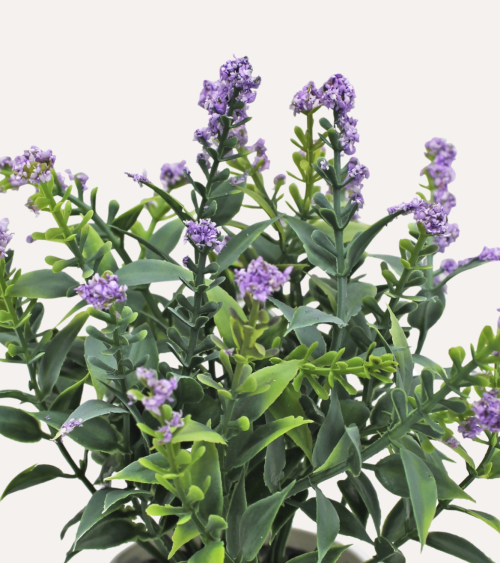 Lavanda Silvestre Decorativa en Maceta de Aspecto Realista