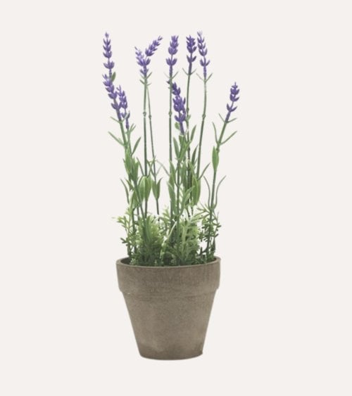 Lavanda Decorativa de Aspecto Realista