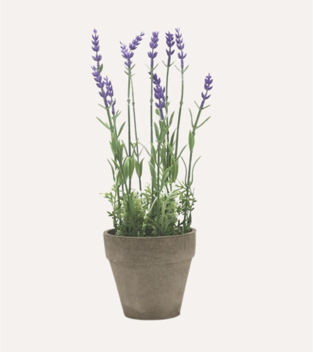 Lavanda Decorativa de Aspecto Realista Lavanda Decorativa de Aspecto Realista