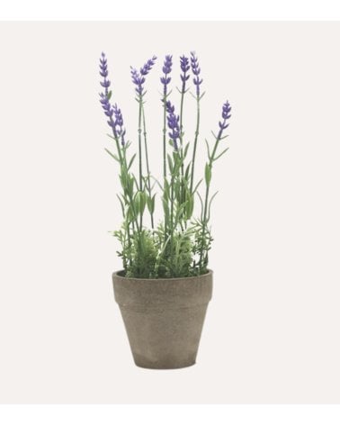 Lavanda Decorativa de Aspecto Realista