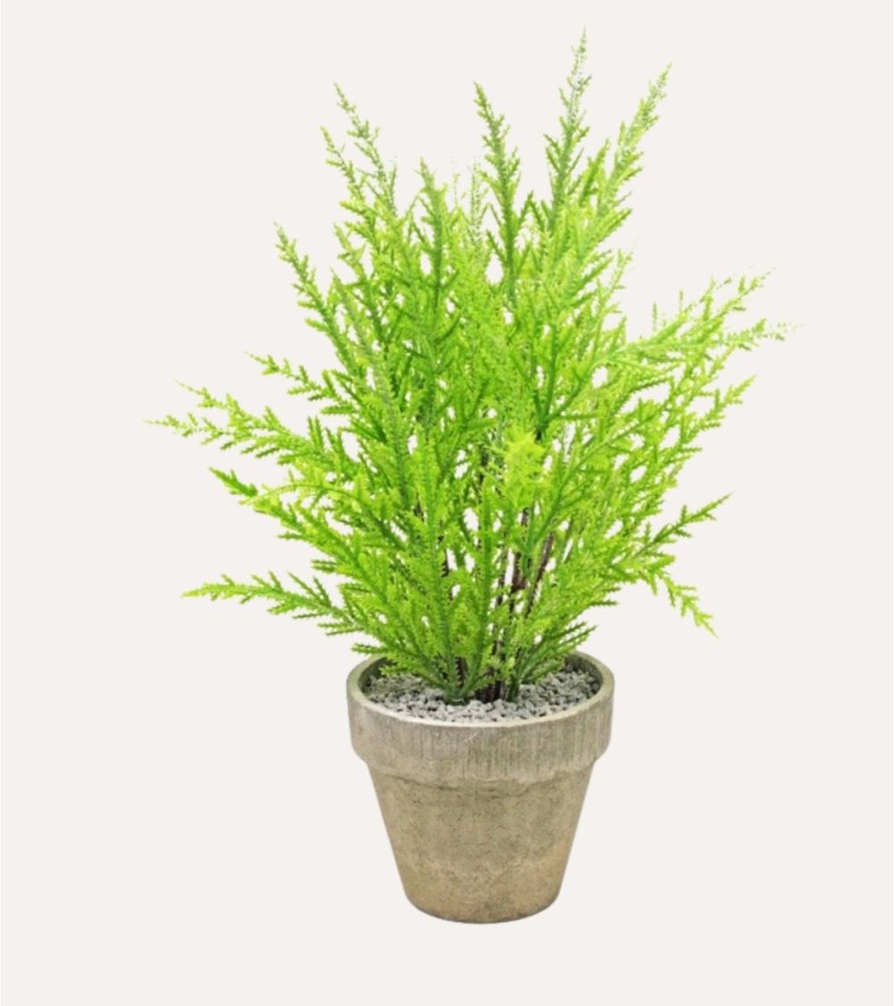 Pino Verde Decorativo en Maceta