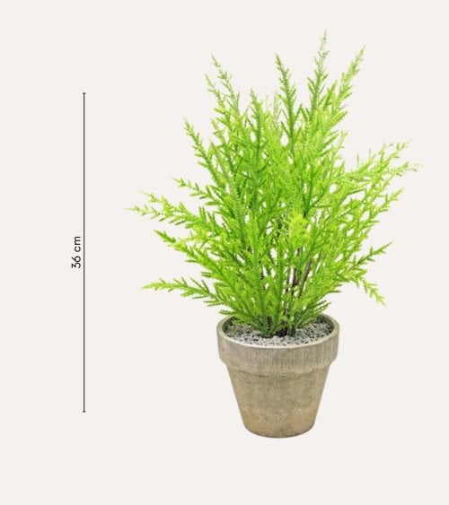 Pino Verde Decorativo en Maceta