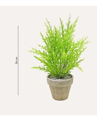 Pino Verde Decorativo en Maceta