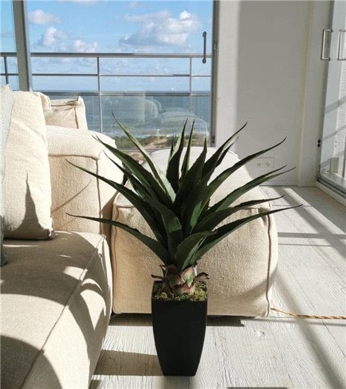 Palma Decorativa de 73 Cm