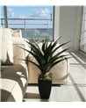 Palma Decorativa de 73 Cm