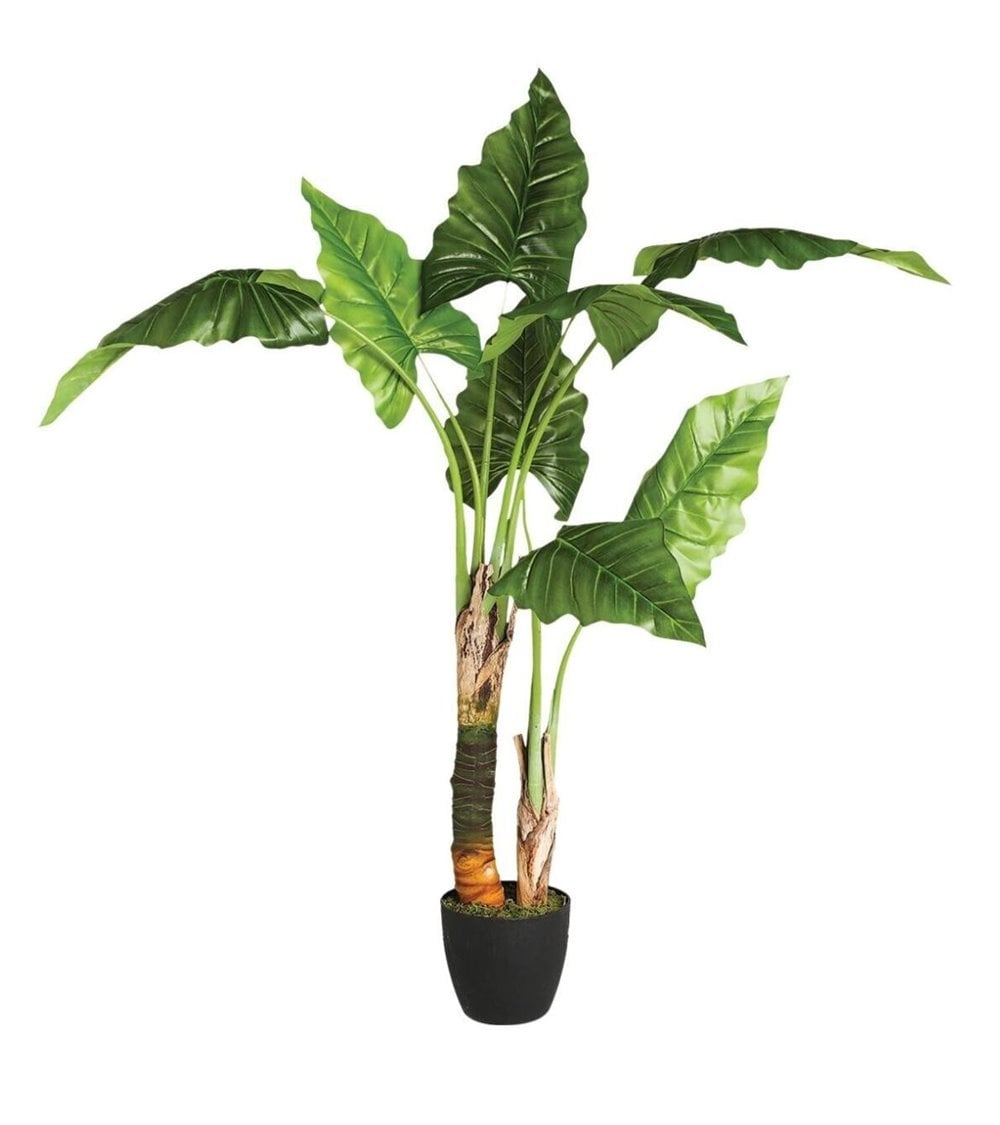 Planta Decorativa Platano de 120 Cm