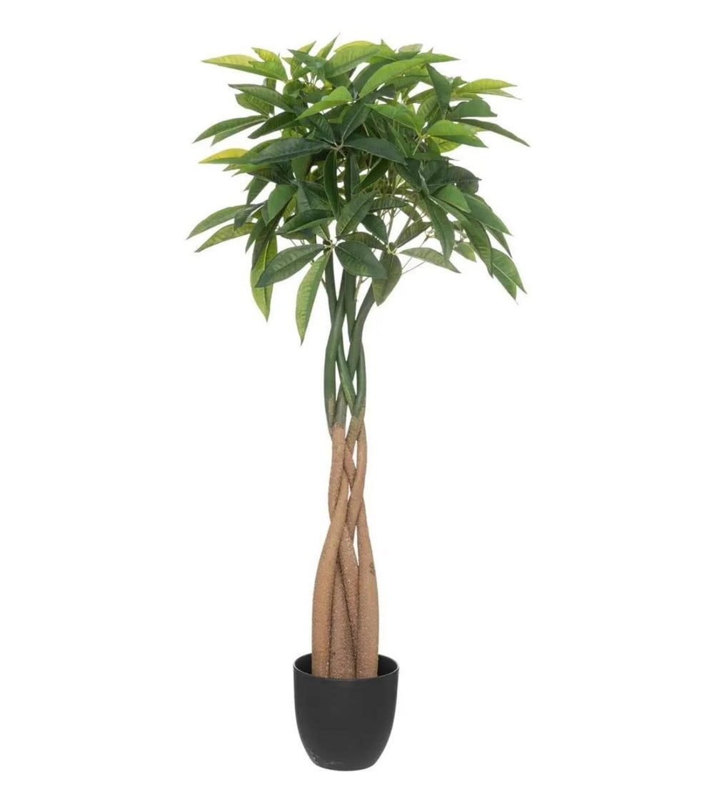 Planta Artificial Bota de Pachira para Interiores