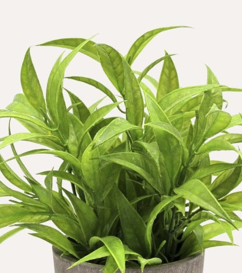 Planta Verde Decorativa en Maceta de Aspecto Realista