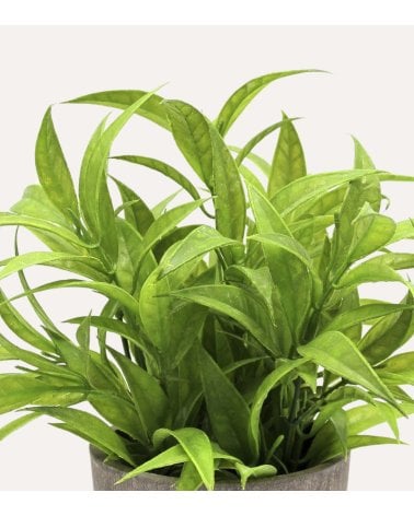 Planta Verde Decorativa en Maceta de Aspecto Realista