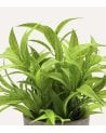 Planta Verde Decorativa en Maceta de Aspecto Realista
