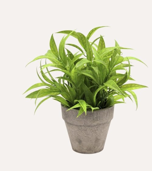 Planta Verde Decorativa en Maceta de Aspecto Realista
