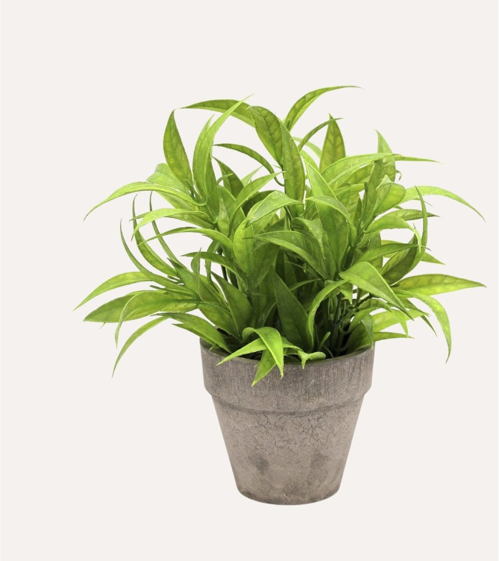 Planta Verde Decorativa en Maceta de Aspecto Realista