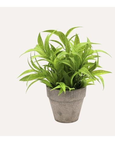 Planta Verde Decorativa en Maceta de Aspecto Realista