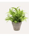 Planta Verde Decorativa en Maceta de Aspecto Realista