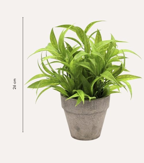 Planta Verde Decorativa en Maceta de Aspecto Realista
