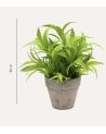 Planta Verde Decorativa en Maceta de Aspecto Realista