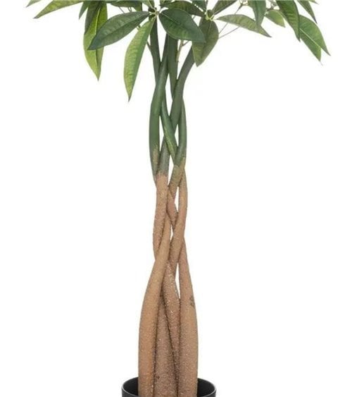 Planta Artificial Bota de Pachira para Interiores