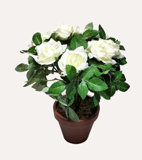Rosal Blanco Decorativo en Maceta de Aspecto Realista