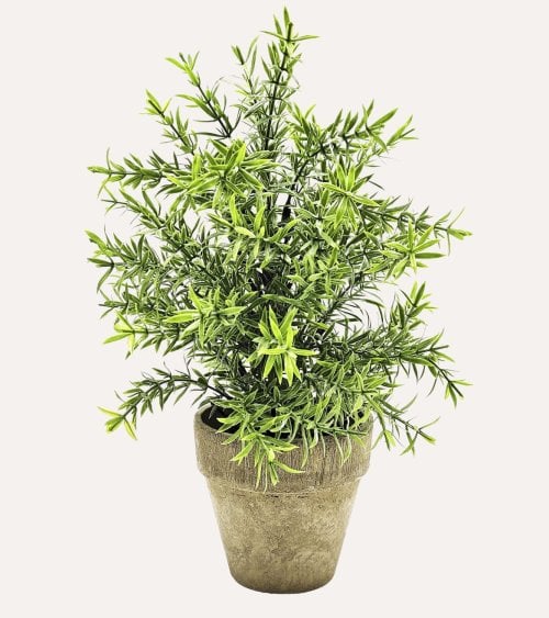 Pino Rústico Decorativo en Maceta de Aspecto Realista