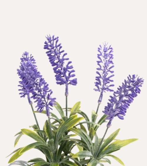 Lavanda Decorativa en Jarra de Metal