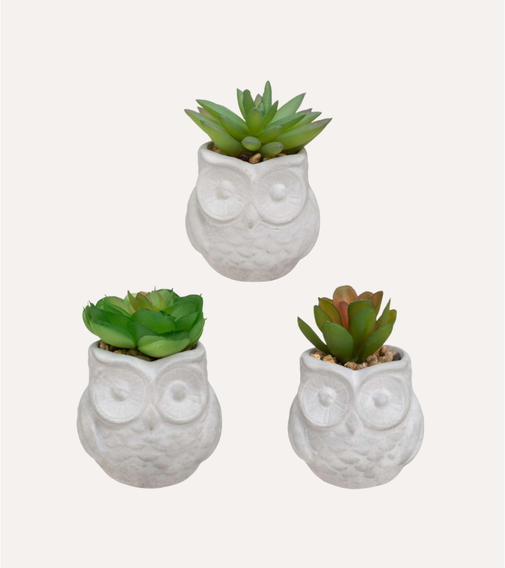 Suculenta Decorativa con Maceta Búhos de PS