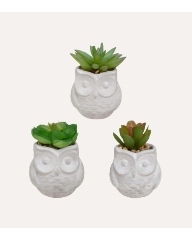Suculenta Decorativa con Maceta Búhos de PS