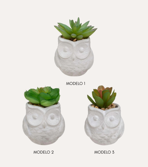 Suculenta Decorativa con Maceta Búhos de PS