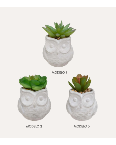 Suculenta Decorativa con Maceta Búhos de PS